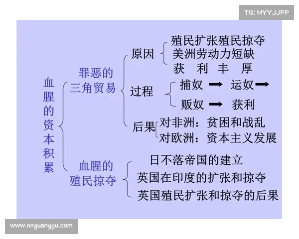 殖民地时期文化交融与社会变革的深远影响与历史反思 殖民地时期文化交融与社会变革的深远影响与历史反思