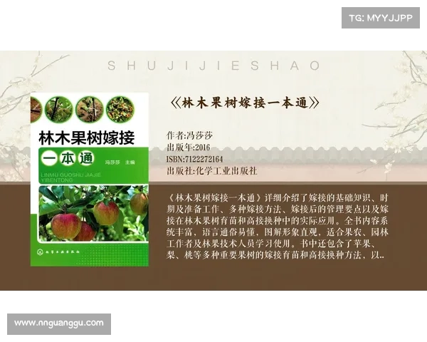 古老技艺与现代科技融合的七种创新应用探索 古老技艺与现代科技融合的七种创新应用探索
