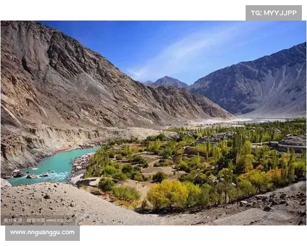 中巴足球对决历史脉络深度回顾与未来发展前景的全景式的权威研判