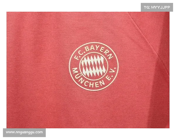 拜仁慕尼黑体育场名称变更及常见问题解答大全