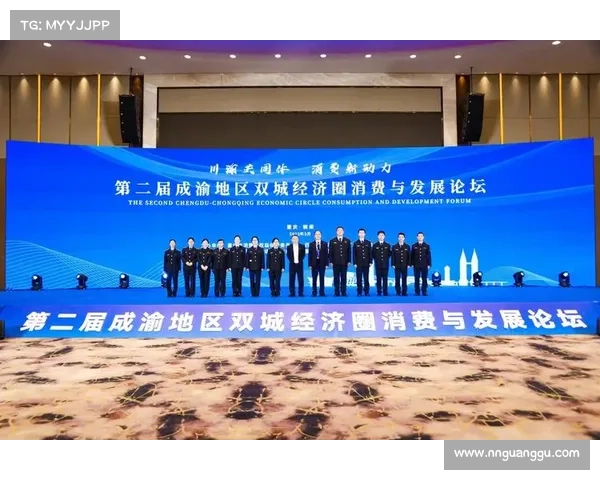 如何通过双城经济协同发展促进区域增长与双羽天下战略的深远影响