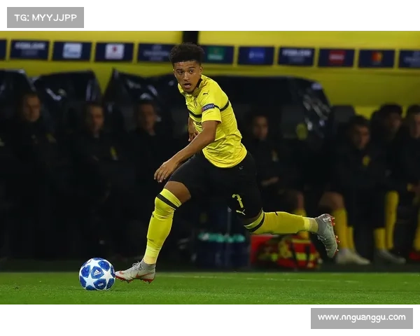 巴黎圣日耳曼引援策略解析：金元足球背后的深层考量与未来布局