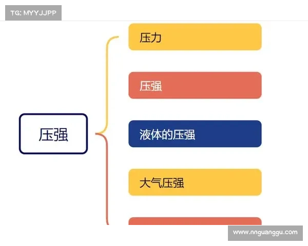 布朗表现优异的五大核心原因解析及其影响因素探讨