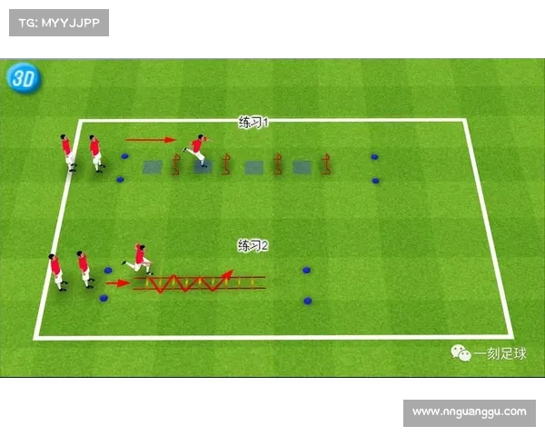 提升年轻球员综合素质的实用技巧与训练方法分享
