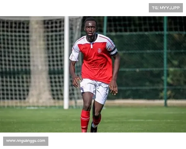 提升法甲锋线精英表现的十大实用技巧与训练方法分析